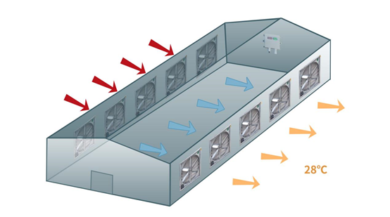 養(yǎng)殖場通風(fēng)示意圖